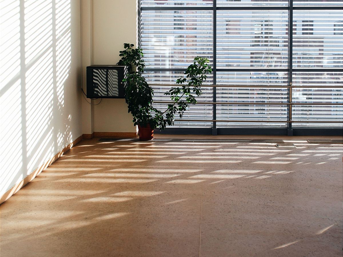 Calm, sunlit modern interior (illustrative)